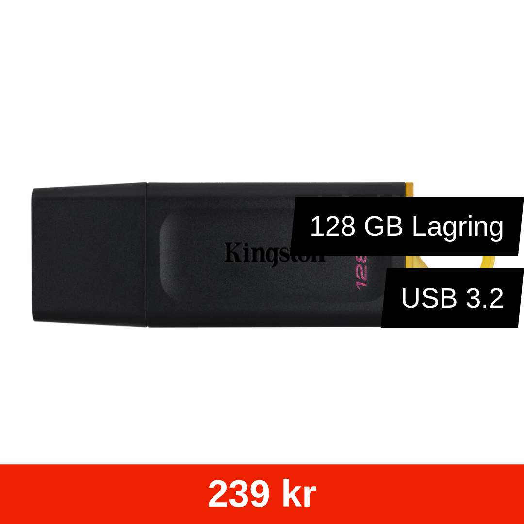 Kingston DataTraveler USB 3.2 - 128 GB